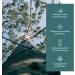 Plant of Life Essential Oil - 100% Pure and Natural - Therapeutic Grade Essential Oil with Dropper (Eucalyptus 2 oz (60mL)) - Buy Online on GoSupps.com