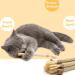 Wiswelry 6 Packs Natural Matatabi Silvervine Chew Sticks Natural Cat Teeth Nip Cleaning Catnip Toys for Indoor Kitten Teething and Stress 6P Sticks L - Buy Online on GoSupps.com