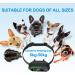 CANDYDOG Bark Collar - Smart Anti Barking Collar with 5 Adjustable Sensitivity Modes - No Shock - IP67 Waterproof - Stop Dog Barking Device for Small, Medium, Large Dogs - Buy Online on GoSupps.com