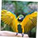 Mipcase 3st Flying Bird Whirls Windel | Parrot & Chicken Clothes | Cotton Pet Pee Pad for Parrots & Pets - Buy Online on GoSupps.com