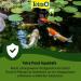 Tetra Pond AquaSafe - 500ml Bottle | Make Tap Water Safe for Fish & Plants in Garden Ponds - Buy Online on GoSupps.com