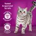 Whiskas Beef Selections Adult Dry Cat Food Natural Beef Flavour 4kg Bag - Buy Online on GoSupps.com