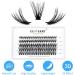 100PCS D Curl 0.07mm Cluster Eyelashes 8-16mm | GEMERRY Handmade Ribbon Lashes | DIY Wide Stem Extensions - Buy Online on GoSupps.com