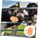DOITOOL Livestock Salt Lick Animal Farm Supply Salt Licking Block Small Pets Lick Salt Nutrition Pendant - Buy Online on GoSupps.com