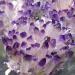 Pakmez Amethyst Rough Stone 1pc Natural Crystal Cluster Amethyst White Ore Purple Quartz Stone Raw Crystals (Size : 300-350g)