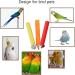 Hamiledyi Parrot Cage Perches Stand - Paw Grinding Stick & Beak Toy for Conures, Cockatiels, Lovebirds - Colorful Cage Accessories - Sand Perch for Budgies - Buy Online on GoSupps.com