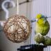 Buy Sloane Nesting Material for Birds - Ideal Hanging Nesting Set for Optimal Bird Nesting - Buy Online on GoSupps.com