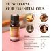Organic Palmarosa Essential Oil 10ml - 100% Pure Therapeutic Grade Aromatherapy Oil by Ecodrop - Buy Online on GoSupps.com