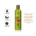 Peter Lamas Biotin Regrowth Shampoo | Apple Stem Cell & Vitamin B Formula for Fuller Hair | Reduce Scalp Irritation & DHT Buildup - Buy Online on GoSupps.com
