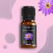 Smoky Haven Blue Lotus Essential Oil - Premium Organic Extract (1 oz) for Aromatherapy Cosmetics & Hair - Vegan & Ethically Sourced - Buy Online on GoSupps.com