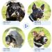 Gentle Muzzle Guard for Dogs - Prevents Biting and Unwanted Chewing Safely New Secure Comfort Fit - Soft Neoprene Padding No More Chafing Included Training Guide Helps Build Bonds with Pet (S+ Grey) Grey S+ (Pack of 1) - Buy Online on GoSupps.com