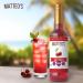 Matteo's Sugar-Free Fruit Syrup Sweeteners for all types of Beverages - for Pastry Dessert Kitchen Restaurant and Bars Deep Succulent Cherry Flavor Tart Sweet Non-Alcoholic Syrup (750ml - 6pk) 750 ml (Pack of 6) - Buy Online on GoSupps.com
