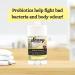 2 PACK- Saavy Naturals Probiotic Deodorant Aluminum-Free Baking Soda Free No Residue All Day Protection for Women and Men Natural Vegan Formula Yuzu and Meyer Lemon - 1.7 Oz Yuzu & Meyer Lemon - Buy Online on GoSupps.com