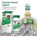 Bell Supreme Immune Support Mushroom Supplement Unique Blend with Turkey Tails Mushroom -A Natural Supplement for Immune Support Unique Blend | 90 Capsules Supreme Immune Support (Pack of 1) - Buy Online on GoSupps.com