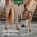AniForte Bronchial Herbs for Horses 1kg - Natural Respiratory Support with Methylcysteine | Cough Relief & Healthy Airways - Buy Online on GoSupps.com