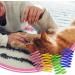 LAMXD 20 Pcs Cat Spring Toys Colorful Spring Cat Toy BPA-free Plastic Coil Spiral Springs Pet Interactive Toys for Cat Kitten Pets Novelty Gift - Buy Online on GoSupps.com