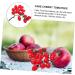 Ciieeo 4pcs String Simulated Cherry Tomatoes Kids Educational Toy Simulation Realistic Foam Food Mini Toys Decorative Cherry Tomatoes Faux Pvc Red Child Household Small Tomatoes Redx4pcs 18X16CMx4pcs - Buy Online on GoSupps.com