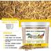 Buy Dried Soldier Fly Larvae 460g - High Protein Bird Hedgehog & Fish Feed | Premium Reptile & Turtle Snack - 100% Natural Insect Nutrition - Buy Online on GoSupps.com