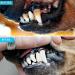 Kinzio Tartar Remover for Dogs & Cats - Dual-Head Pet Dentist Tooth Cleaner (Gold/Black) | Effective Dental Plaque Remover - Buy Online on GoSupps.com