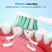 Grasnugie Replacement Toothbrush Heads for Philips Sonicare - 8 Pack Electric Brush Heads - Compatible with ProtectiveClean, Dailyclean, FlexCare, Proresults, 2 Series, 1100, 4100, 5100, 6100 - HX9023 HX6015 - G2 G3 C1 C2 C3 W2 W3 - 8 Count - Buy Online on GoSupps.com