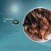 Oenobiol Hair Loss Treatment - 60 Capsules | Effective Solution for Thinning Hair | International Shipping Available - Buy Online on GoSupps.com