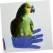 OSALADI 2pairs Anti Bite Gloves Grooming Glove Protective Gloves Dog Bite Gloves Thickening Glove Bird Gloves for Parrots Anti Bite Pet Feeding Accessory Anti-bite Gloves Training Gloves 15x6cm Blue - Buy Online on GoSupps.com