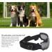 Premium UV Protection Dog Glasses | Light Soft Dustproof & Breathable for Medium & Large Dogs - Ideal for Outdoor Adventures - Buy Online on GoSupps.com