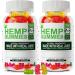 (2 Pack) Hemp Gummies 1,200,000mg High Strength - Stress Relief Fruity Gummy Bear with Hemp Oil, 100% Natural Hemp Candy Supplements Promotes Sleep & Calm Mood 60 Count (Pack of 2)