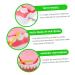 Ultechnovo 3D Tooth Model for Adult Education | Dental Teaching Model & Typodont for Dentists - International Shipping Available - Buy Online on GoSupps.com
