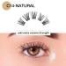 LASHVIEW DIY Individual Cluster Lashes - Natural 10mm - Featherlight Synthetic Lashes - Reusable - Transparent - Buy Online on GoSupps.com
