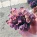 Crystal Rough Natural Crystal Cluster Amethyst Specimen Purple Quartz Reiki Stone Raw Crystal Home Decor Decoration Gift 300-400g - Buy Online on GoSupps.com