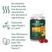 Eye Vitamins Dry Eye Comfort Softgels - Ophthalmologist-Formulated with Himalayan Sea Buckthorn Oil - Vegan & Non-GMO - 60 Count - Buy Online on GoSupps.com