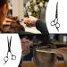 JINSHOW 5PCS Professional Hairdressing Scissors Set - Thinning, Cutting, Stainless Steel, Salon Barber Kit - Buy Online on GoSupps.com