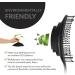 marQus Detangle Hair Brush - Ultra-Soft Bristles for All Hair Types - Wet and Dry Hair - 1pcs Black Brush - Buy Online on GoSupps.com
