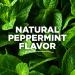 Tom's of Maine Fluoride-Free Antiplaque & Whitening Toothpaste, Peppermint 5.5 oz - Buy Online on GoSupps.com