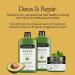 John Frieda Detox and Repair Conditioner for Dry Damaged Hair (250 mL) - Buy Online on GoSupps.com