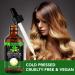 Jamaican Black Castor Oil Pure Cold Pressed Castor Oil for Eyebrows Eyelashes Hair Growth Nails and Skin with 1 Set of Eyebrow & Eyeliner Brushes 60ml - Buy Online on GoSupps.com