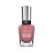 Sally Hansen - Complete Salon Manicure Nail Color  Nudes  Pack of 1 So Much Fawn - 260 1 Count (Pack of 1)