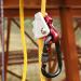 RiToEasysports Climbing Rope Lock | Outdoor Fall Protection Equipment | Self Locking Safety Rope for Climbing - Buy Online on GoSupps.com