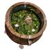Omi Ero de 141 Hierbas Frescas - Purifying Herbal Blend for Global Shipping - Buy Online on GoSupps.com
