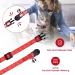 Nobleza Reflective Cat Collars with Bell Quick Release Safety Buckle Kitten Collar Adjustable 20-30cm Suitable for All Girl Boy Cats Kitten Pet (2 Pack Red) - Buy Online on GoSupps.com