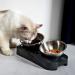 Jemirry Elevated Cat Bowl - Anti-Vomiting 15 Tilted Raised Stainless Steel Pet Bowls with Non-Slip Stand - Prevents Cat and Dog Vomiting, Protects Spine - Dishwasher Safe - Set of 2 Bowls - Buy Online on GoSupps.com