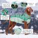 Kuoser Warm Reflective Dog Jacket - Windproof Winter Coat for Small & Large Dogs in Dark Green - Buy Online on GoSupps.com