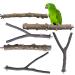 kathson 6 PCS Parrot Perches Birds Stand Pole Toy Natural Wood Perch Bird Cage Accessories for Parakeet, Budgies, Lovebirds