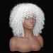 Shop Colorfulpanda Afro Kinky Wigs for Women | Short Wavy Synthetic Wig - Naturally Curly & Stylish - Buy Online on GoSupps.com
