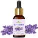 Organic Lavender Essential Oil with Glass Dropper (0.5 fl oz, 15ml), Aceite Esencial De Lavanda, Natural Lavender Oil for Sauna Oil, Diffuser, Skin, Hair, Humidifier, Laundry Soap, Aromatherapy Lavender 0.5 Fl Oz (Pack of 1)