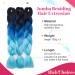 Buy 60cm Ombre Crochet Braids - Dark Black to Sky Blue Synthetic Hair Extensions | 3 PCs - 300g - Buy Online on GoSupps.com