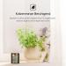 Furry Purr Pet Odor Eliminator Candle | Natural Soy Wax with Catnip & Lily of the Valley Essential Oil - International Shipping - Buy Online on GoSupps.com