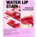 Easilydays 2-in-1 Lip & Cheek Stain - Waterproof Matte Lip Gloss & Blusher, Vivid Pink Color - Long-Lasting, Moisturizing Makeup - Buy Online on GoSupps.com
