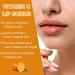 Orange Lip Scrub Vitamin C Moisturizing Lip Scrub Exfoliator to Remove Dead Skin Lip Lightening For Dark Lips Lip Exfoliator Scrub Preventing Dryness Lip Care for Chapped & Cracked Lips - Buy Online on GoSupps.com